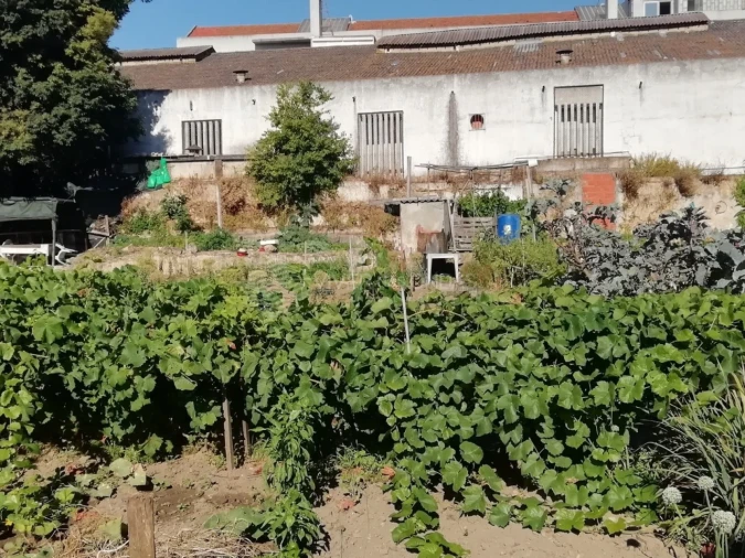 Terreno para Venda em União das Freguesias de Setúbal Foto 6