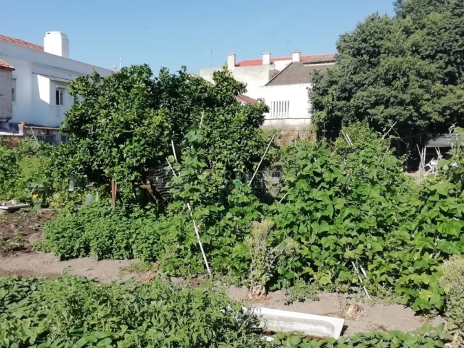 Terreno para Venda em União das Freguesias de Setúbal Foto 7