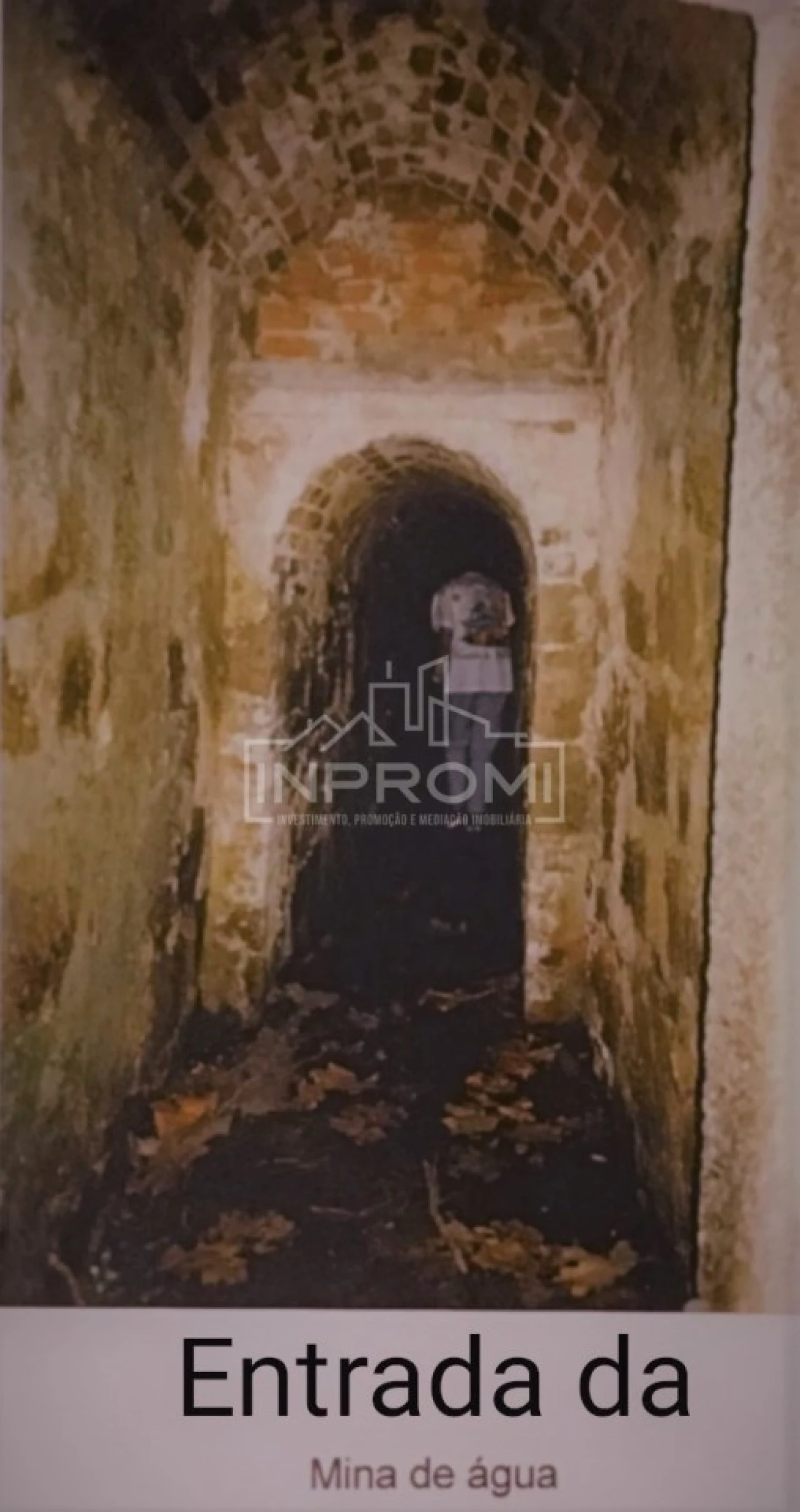 Terreno para Venda em Colares Foto 11