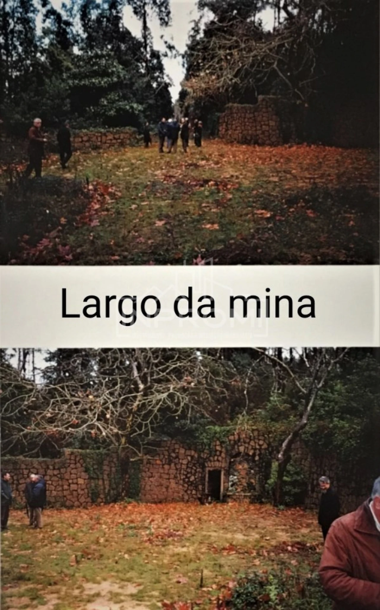 Terreno para Venda em Colares Foto 12