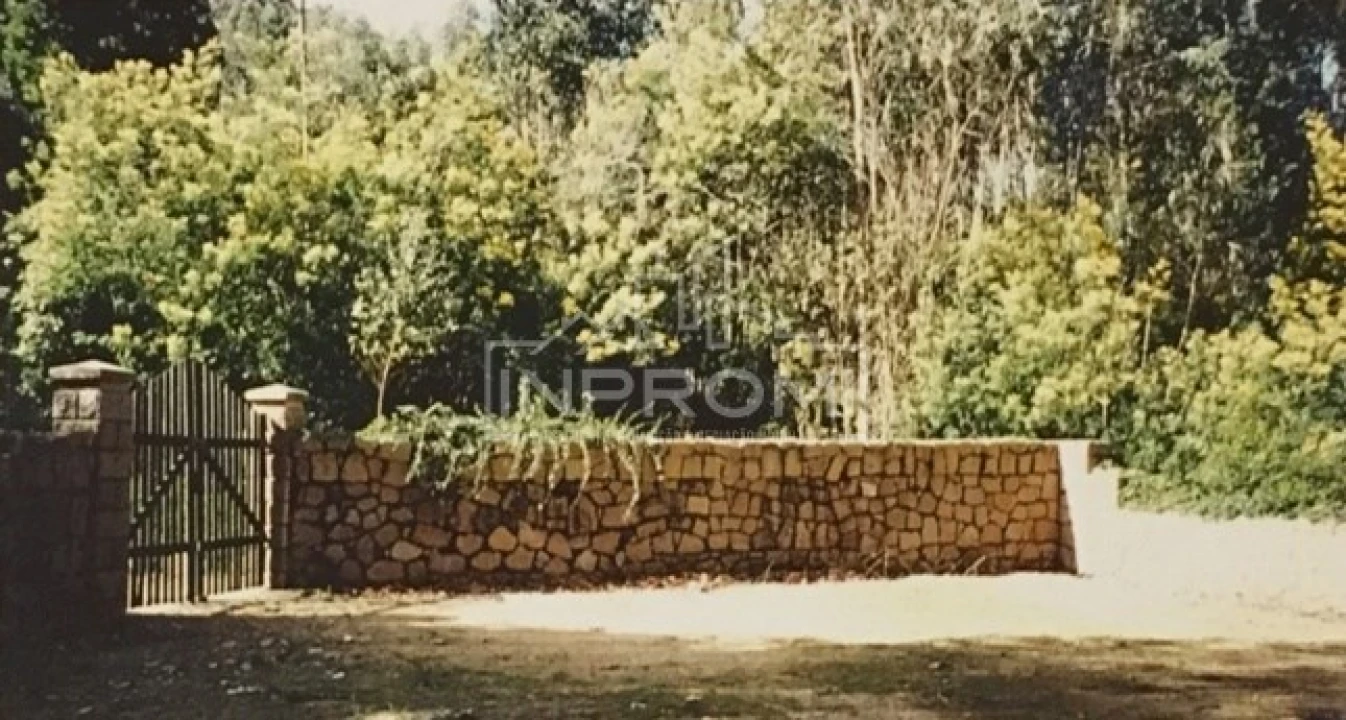Terreno para Venda em Colares Foto 14