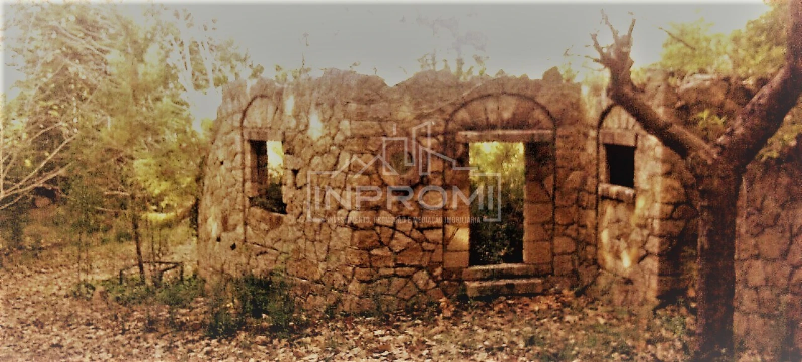 Terreno para Venda em Colares Foto 1