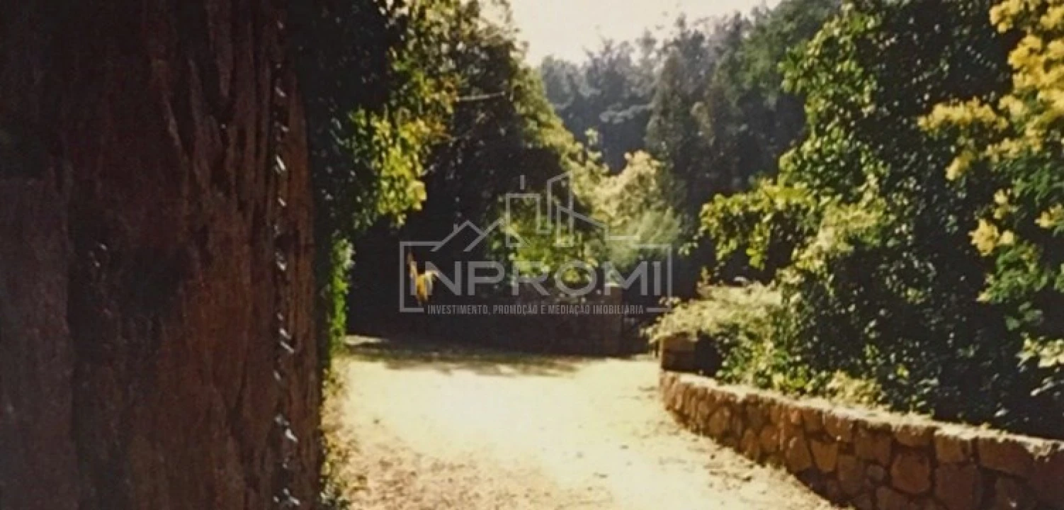 Terreno para Venda em Colares Foto 15