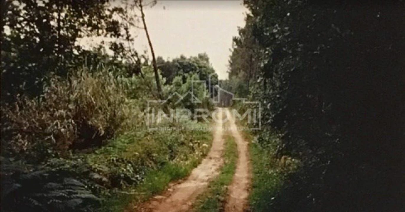 Terreno para Venda em Colares Foto 19