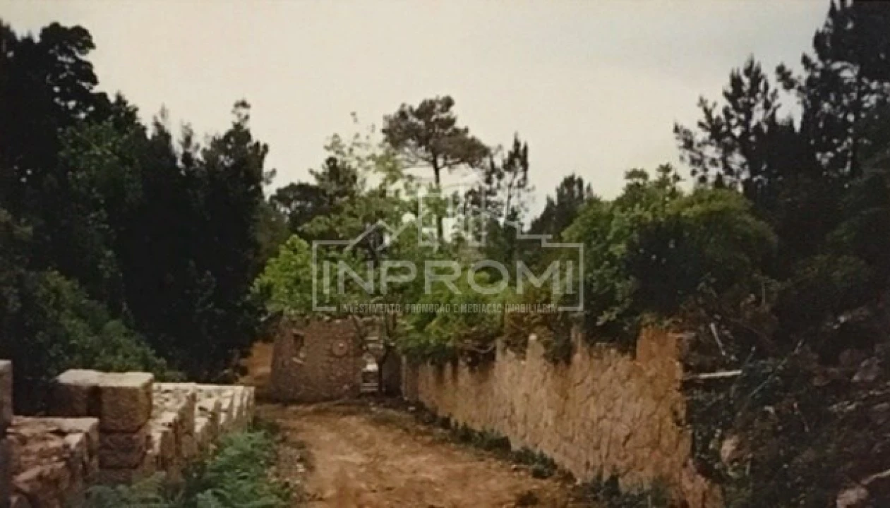 Terreno para Venda em Colares Foto 21