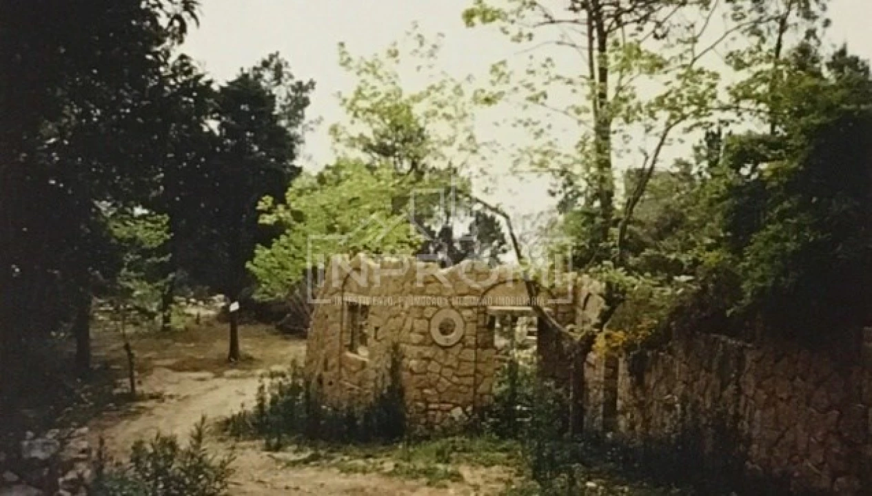 Terreno para Venda em Colares Foto 22
