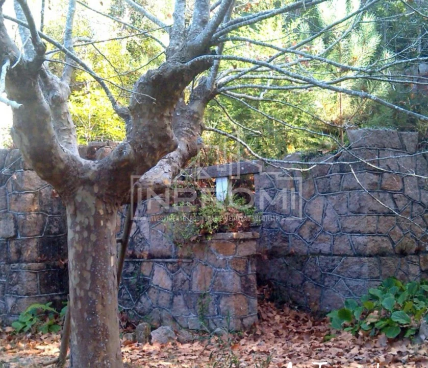 Terreno para Venda em Colares Foto 26