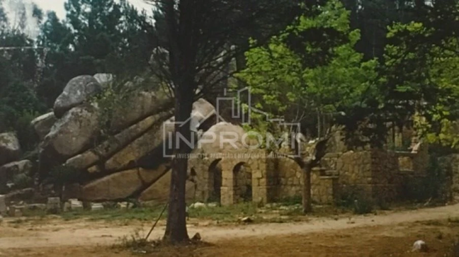 Terreno para Venda em Colares Foto 7