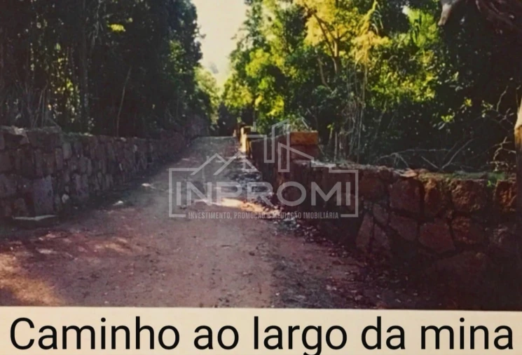 Terreno para Venda em Colares Foto 10