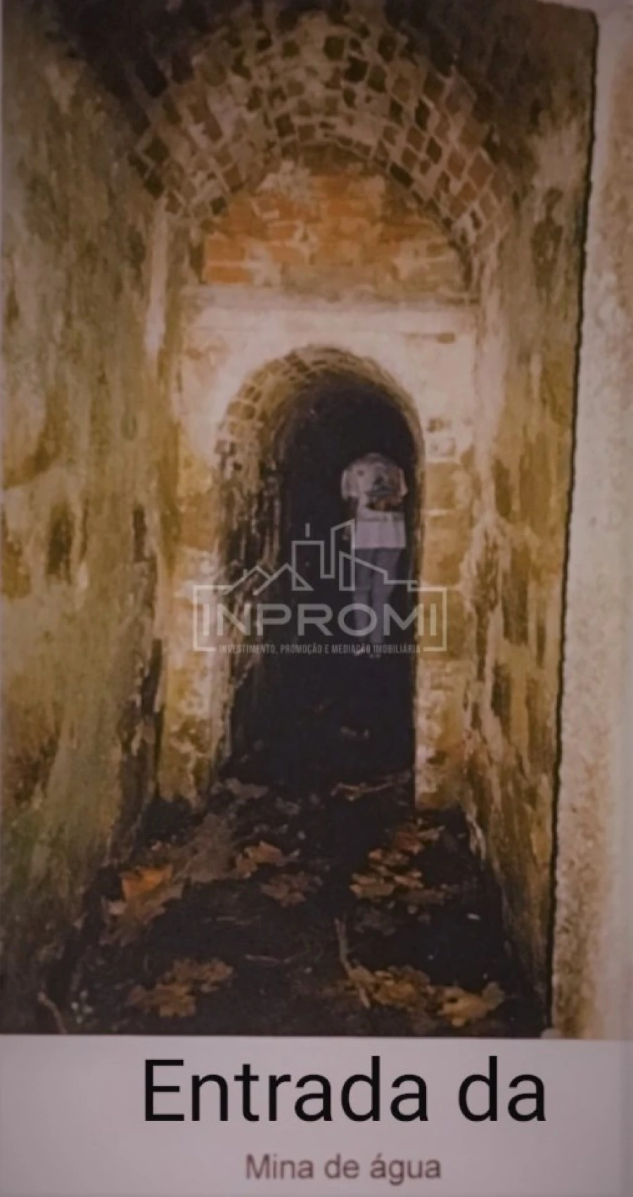 Terreno para Venda em Colares Foto 11