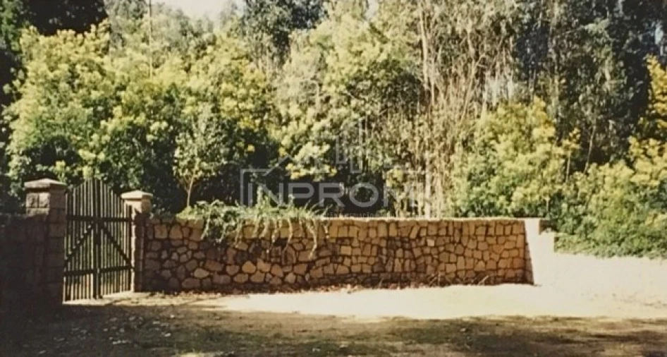 Terreno para Venda em Colares Foto 14