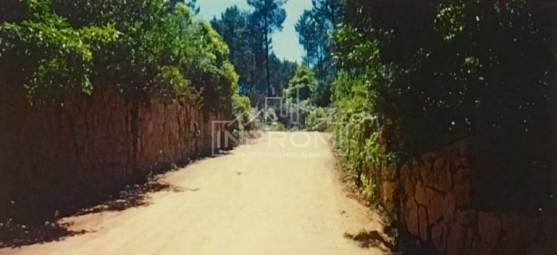 Terreno para Venda em Colares Foto 5