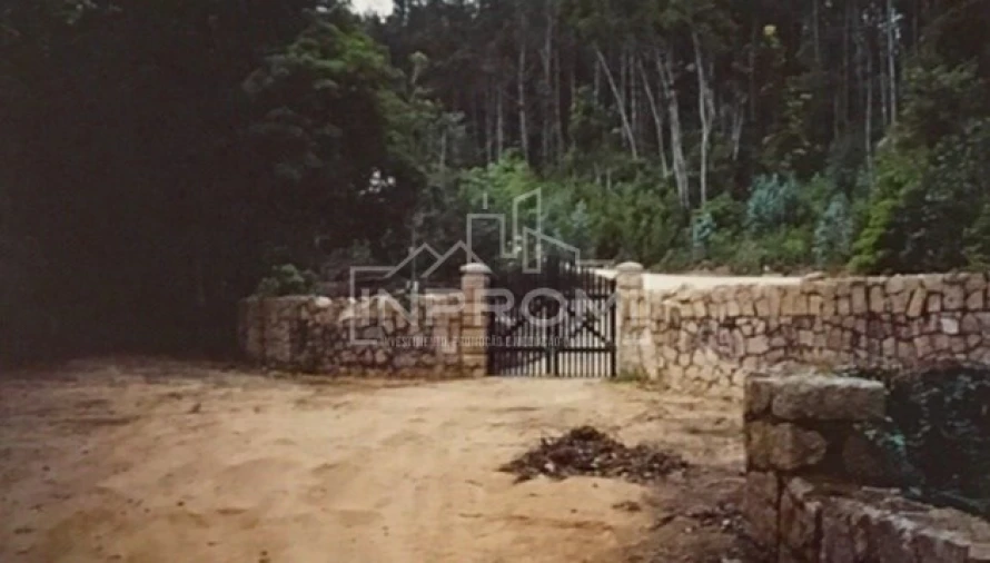 Terreno para Venda em Colares Foto 16