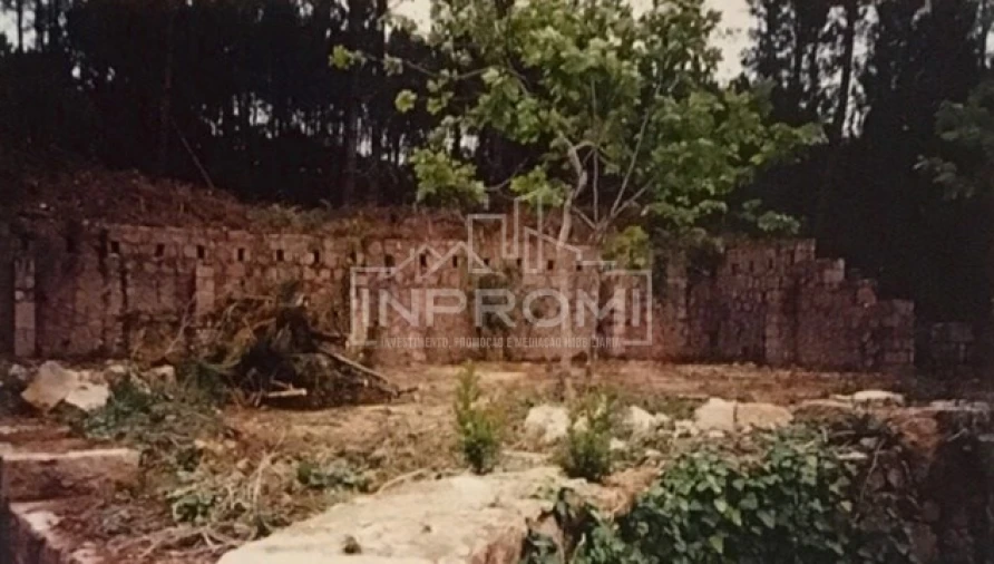 Terreno para Venda em Colares Foto 18