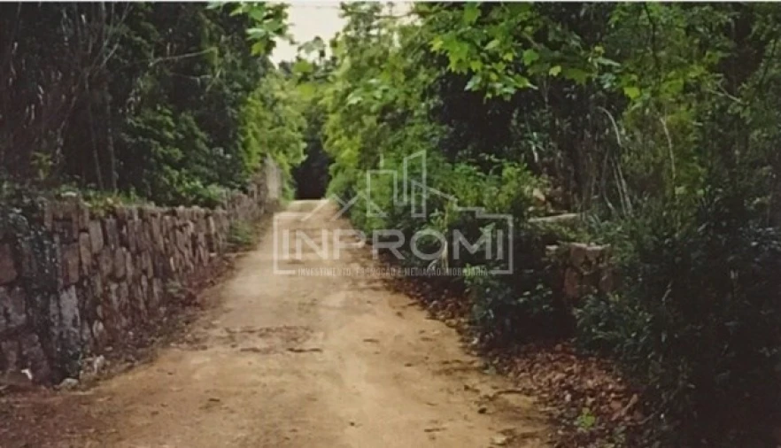 Terreno para Venda em Colares Foto 20