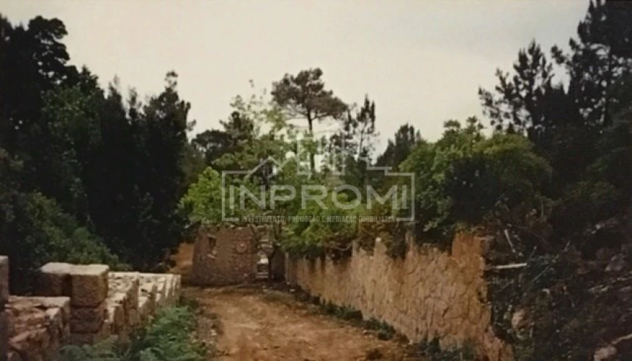 Terreno para Venda em Colares Foto 21