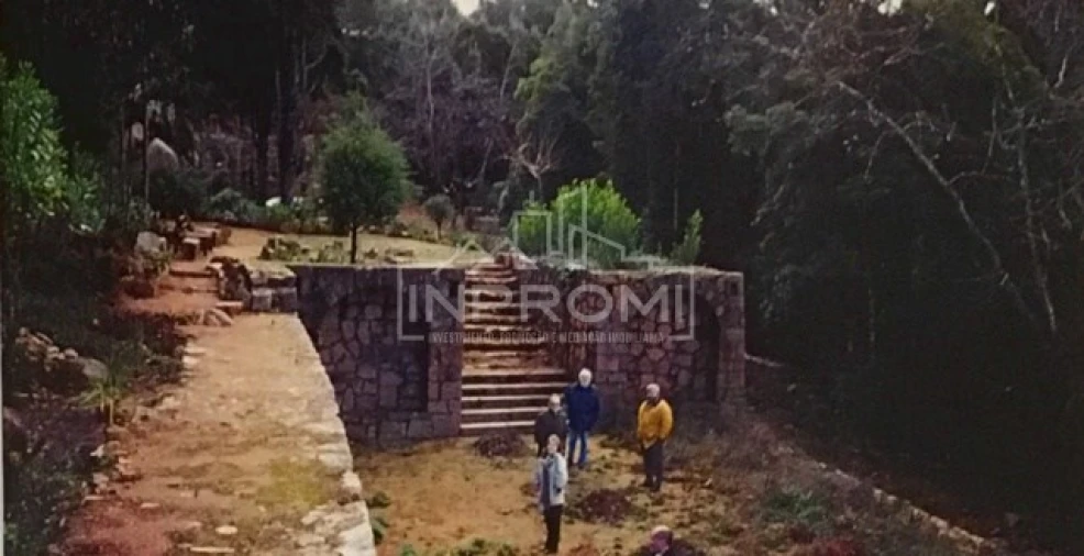Terreno para Venda em Colares Foto 23