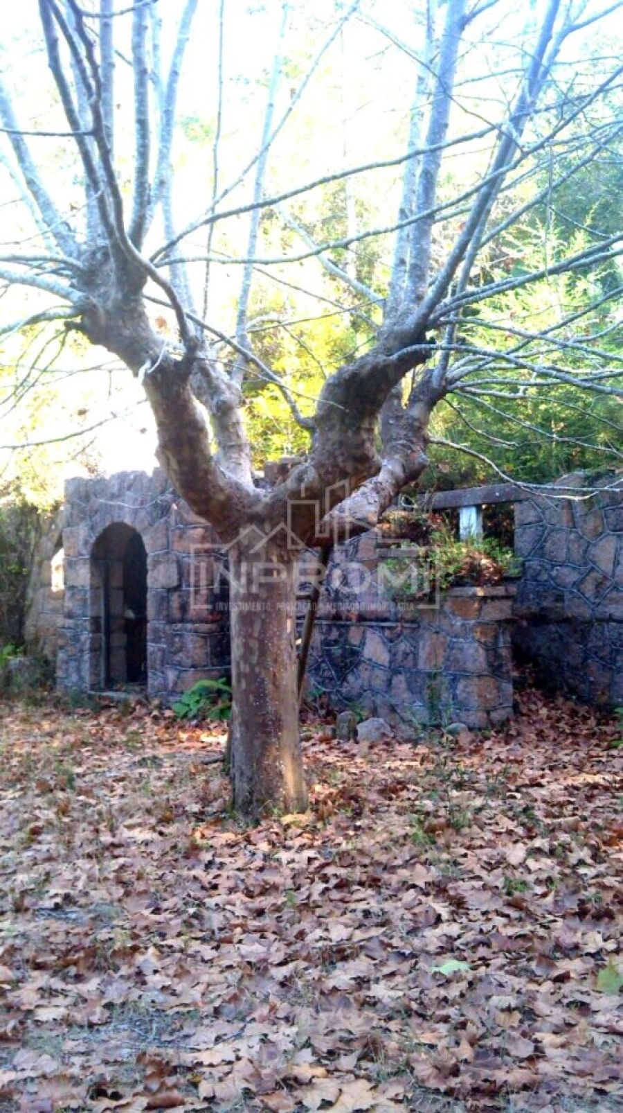 Terreno para Venda em Colares Foto 25