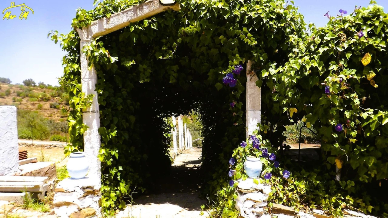 Moradia para Venda em Odeleite Foto 25