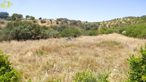 Moradia para Venda em Odeleite