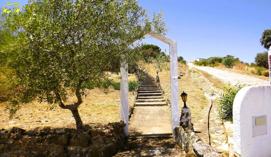 Moradia para Venda em Odeleite Foto 14