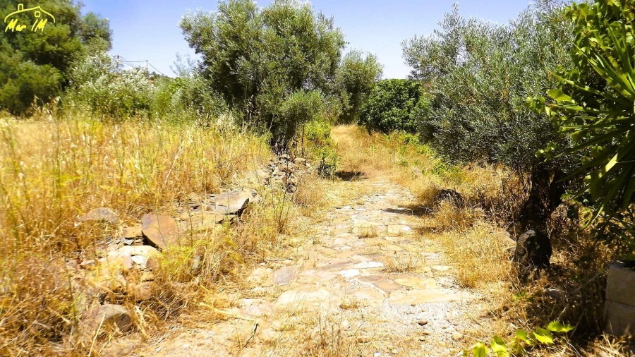 Moradia para Venda em Odeleite Foto 16