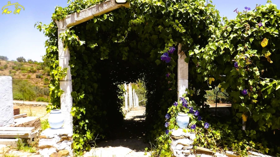 Moradia para Venda em Odeleite Foto 25