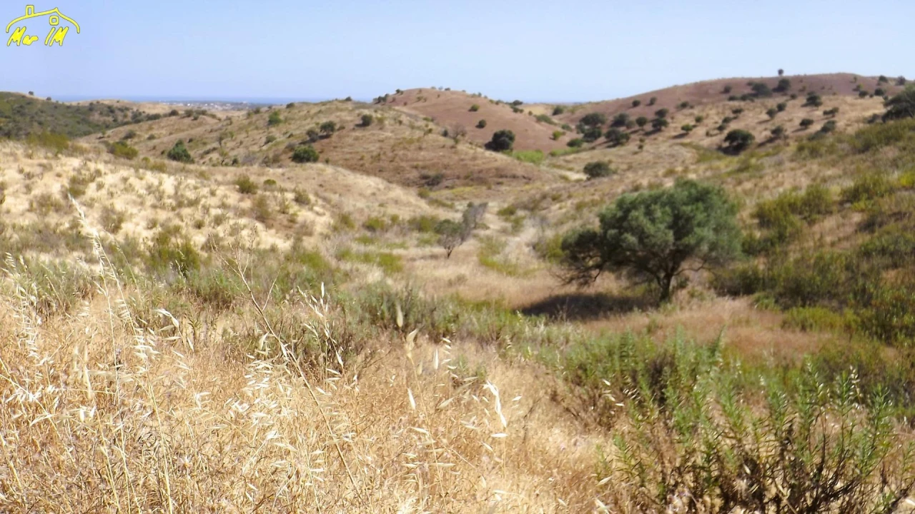 Terreno Agricola ou Rústico para Venda em Castro Marim Foto 11