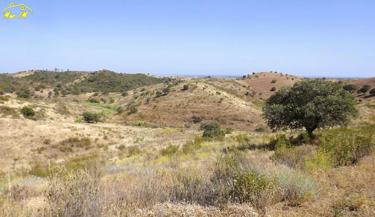 Terreno Agricola ou Rústico para Venda em Castro Marim Foto 12