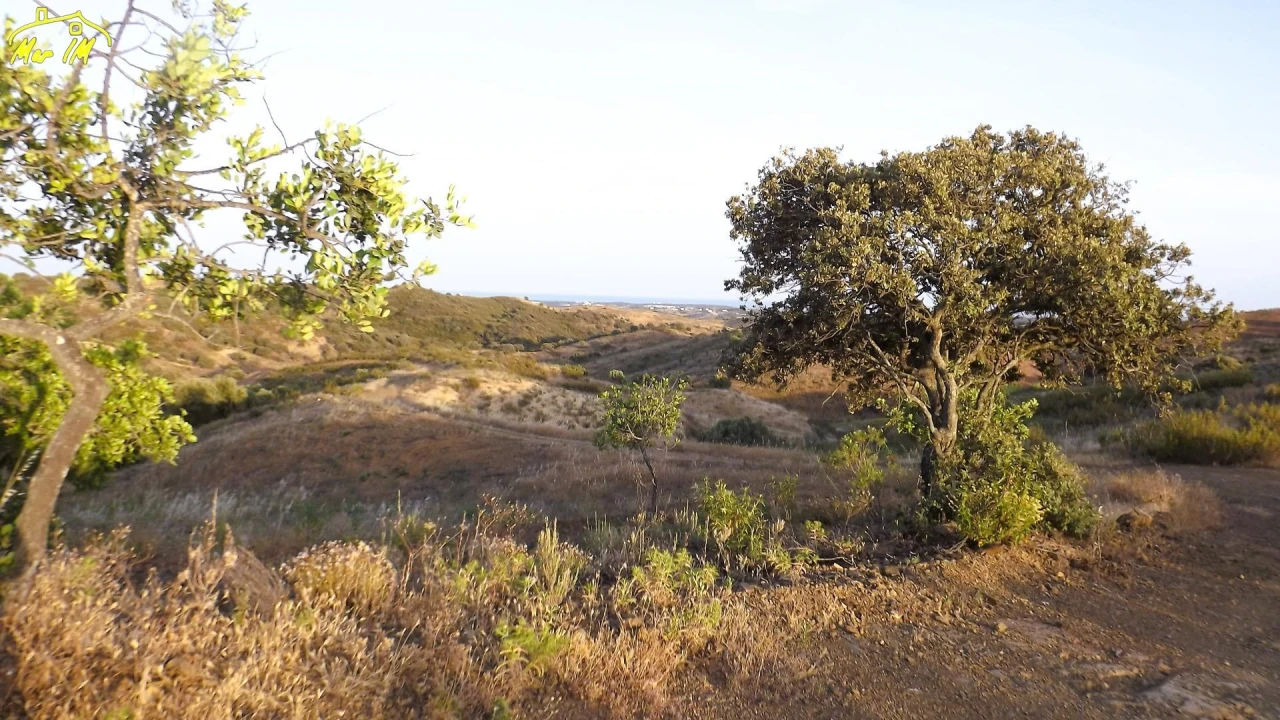 Terreno Agricola ou Rústico para Venda em Castro Marim Foto 4