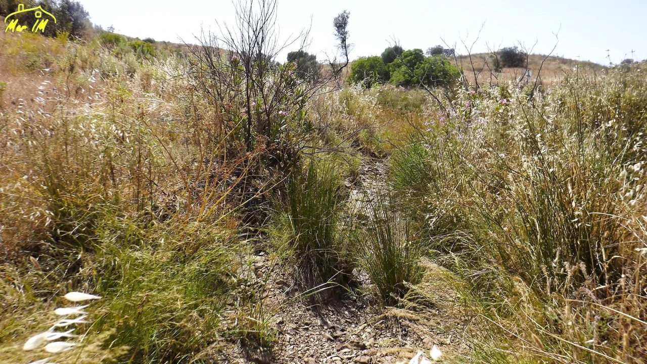 Terreno Agricola ou Rústico para Venda em Castro Marim Foto 9