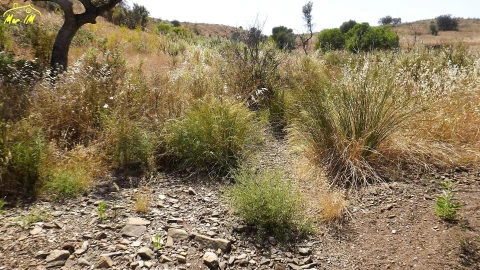 Terreno Agricola ou Rústico para Venda em Castro Marim