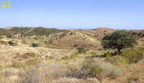 Terreno Agricola ou Rústico para Venda em Castro Marim