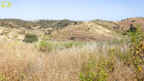 Terreno Agricola ou Rústico para Venda em Castro Marim