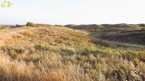 Terreno Agricola ou Rústico para Venda em Castro Marim