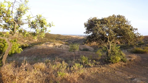 Terreno Agricola ou Rústico para Venda em Castro Marim
