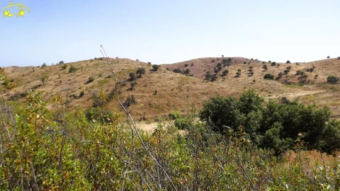 Terreno Agricola ou Rústico para Venda em Castro Marim