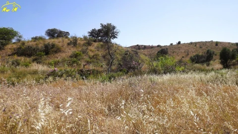 Terreno Agricola ou Rústico para Venda em Castro Marim