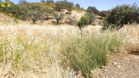 Terreno Agricola ou Rústico para Venda em Castro Marim