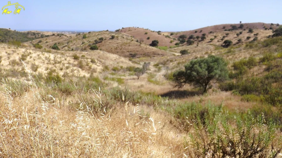 Terreno Agricola ou Rústico para Venda em Castro Marim Foto 11
