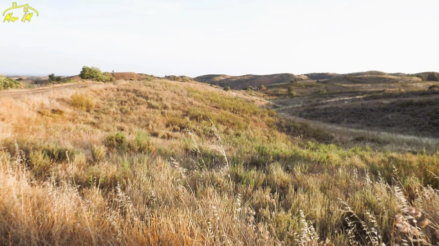 Terreno Agricola ou Rústico para Venda em Castro Marim Foto 3