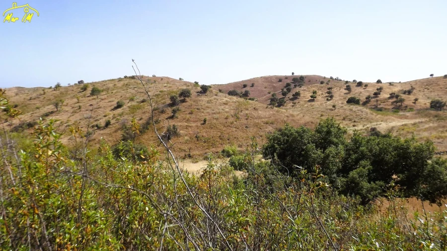 Terreno Agricola ou Rústico para Venda em Castro Marim Foto 6