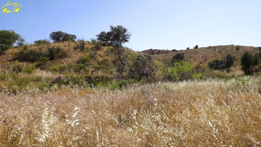 Terreno Agricola ou Rústico para Venda em Castro Marim Foto 7