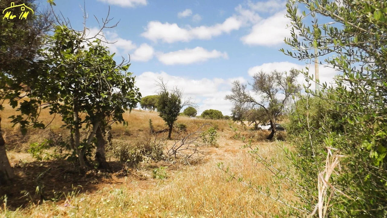 Terreno Agricola ou Rústico para Venda em Vila Real de Santo Antonio Foto 12