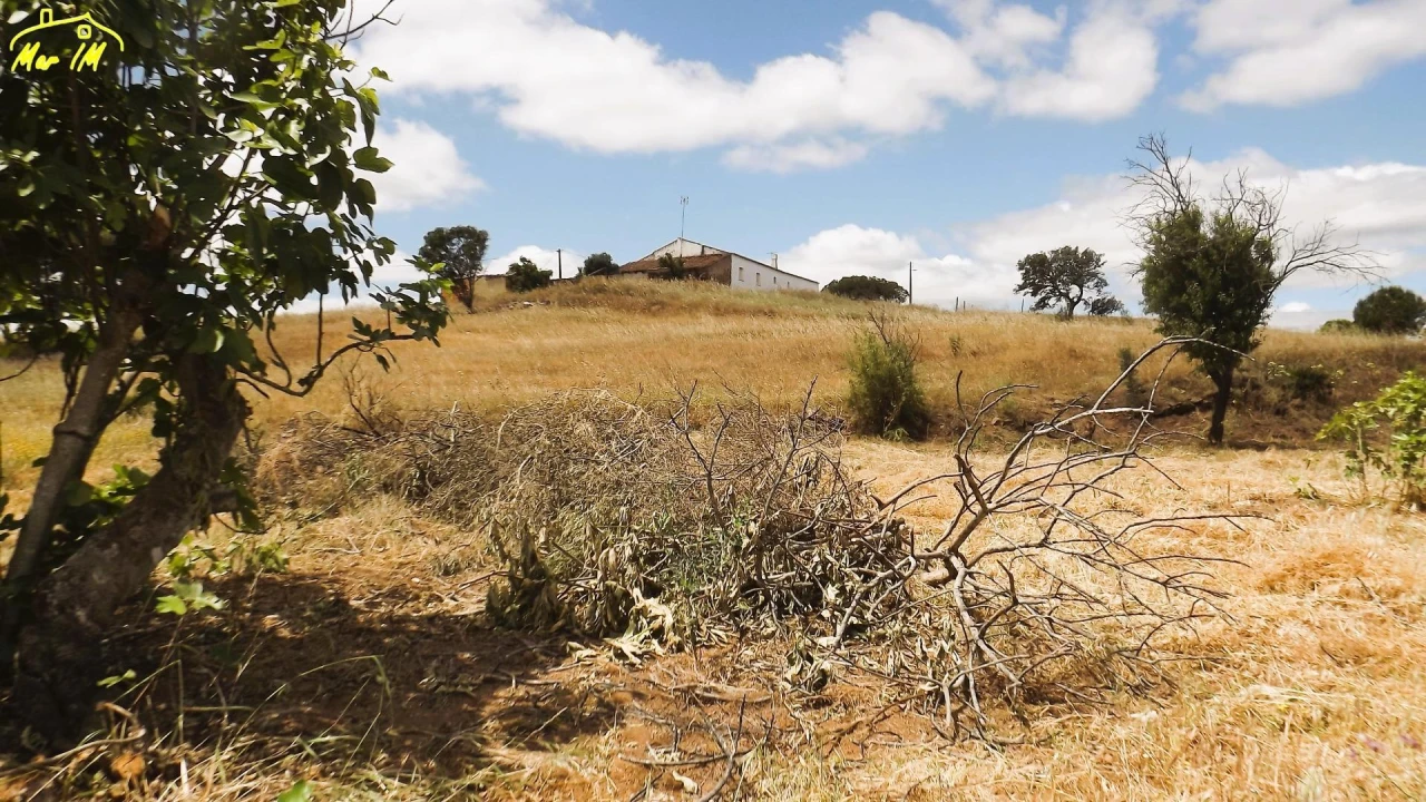Terreno Agricola ou Rústico para Venda em Vila Real de Santo Antonio Foto 16