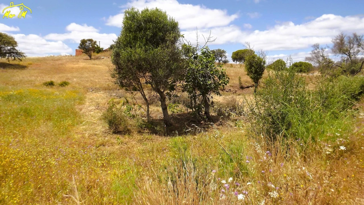Terreno Agricola ou Rústico para Venda em Vila Real de Santo Antonio Foto 28