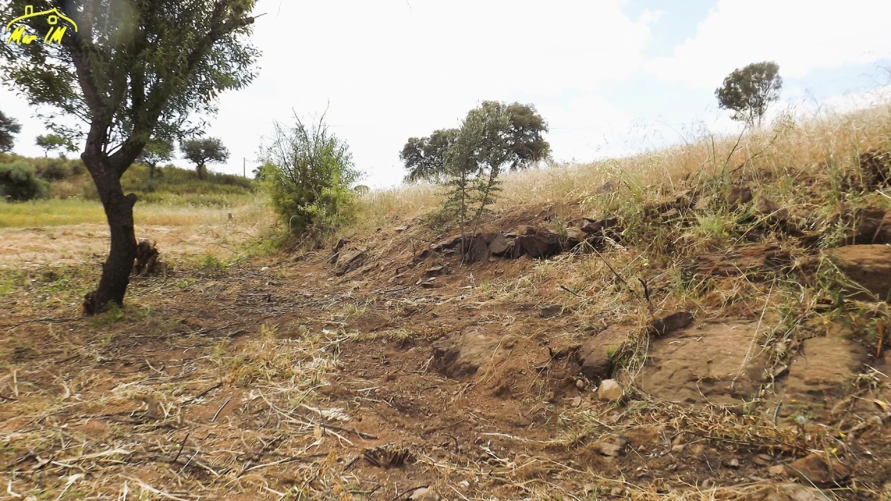 Terreno Agricola ou Rústico para Venda em Vila Real de Santo Antonio Foto 3