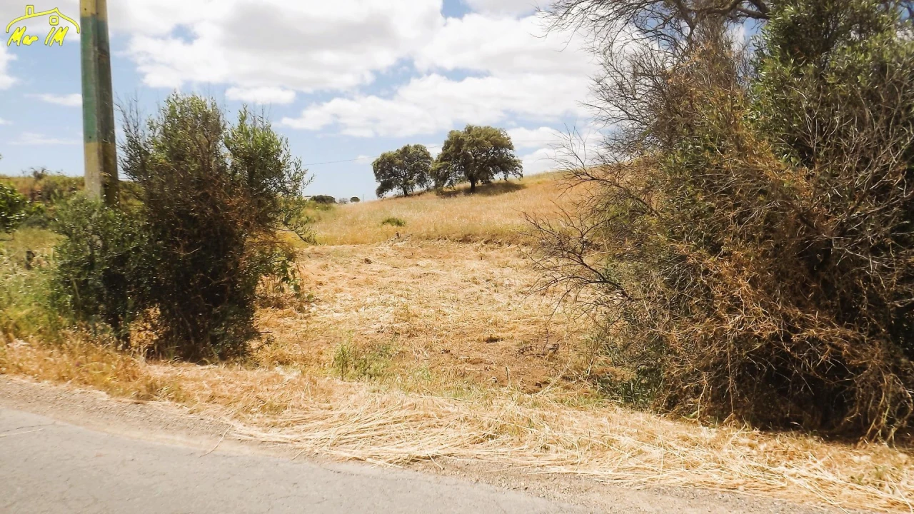 Terreno Agricola ou Rústico para Venda em Vila Real de Santo Antonio Foto 31