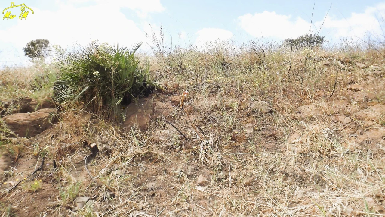 Terreno Agricola ou Rústico para Venda em Vila Real de Santo Antonio Foto 4