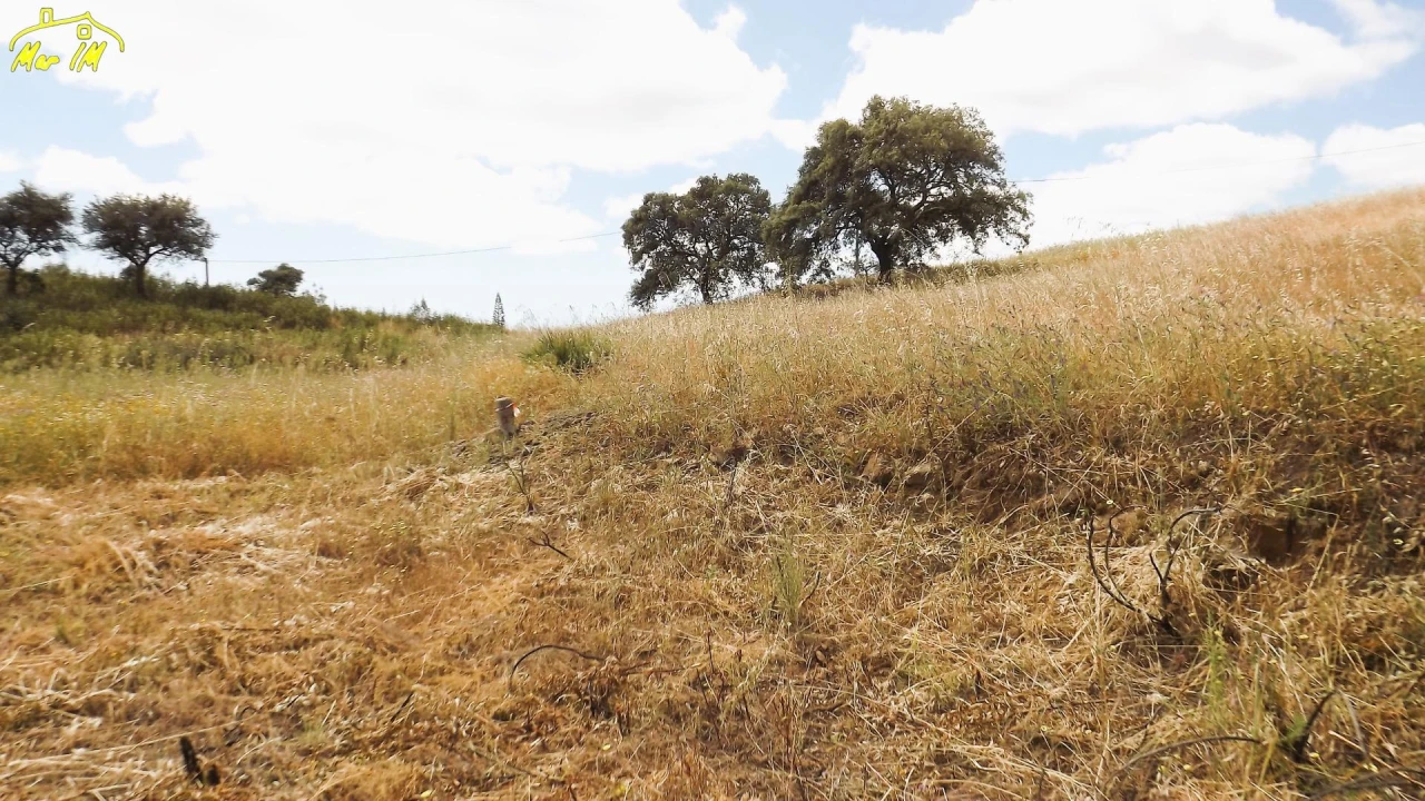 Terreno Agricola ou Rústico para Venda em Vila Real de Santo Antonio Foto 7